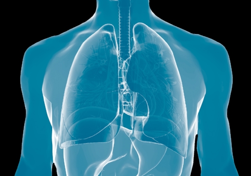 ASSINE A PETIÇÃO PARA CRIAR O DIA MUNDIAL DO PULMÃO ASSINE A PETIÇÃO PARA CRIAR O DIA MUNDIAL DO PULMÃO